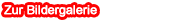 Zur Bildergalerie